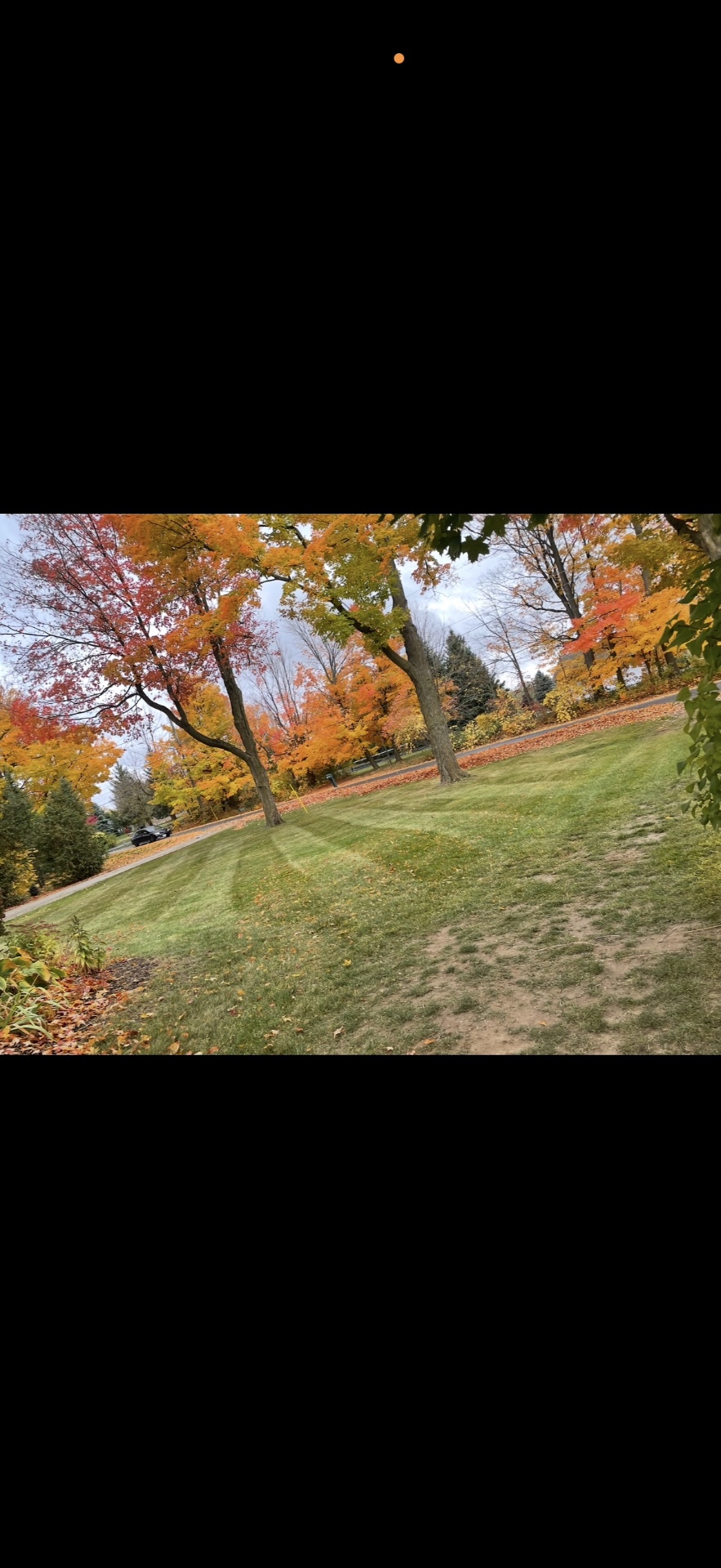 Fall property maintenance and leaf cleanup