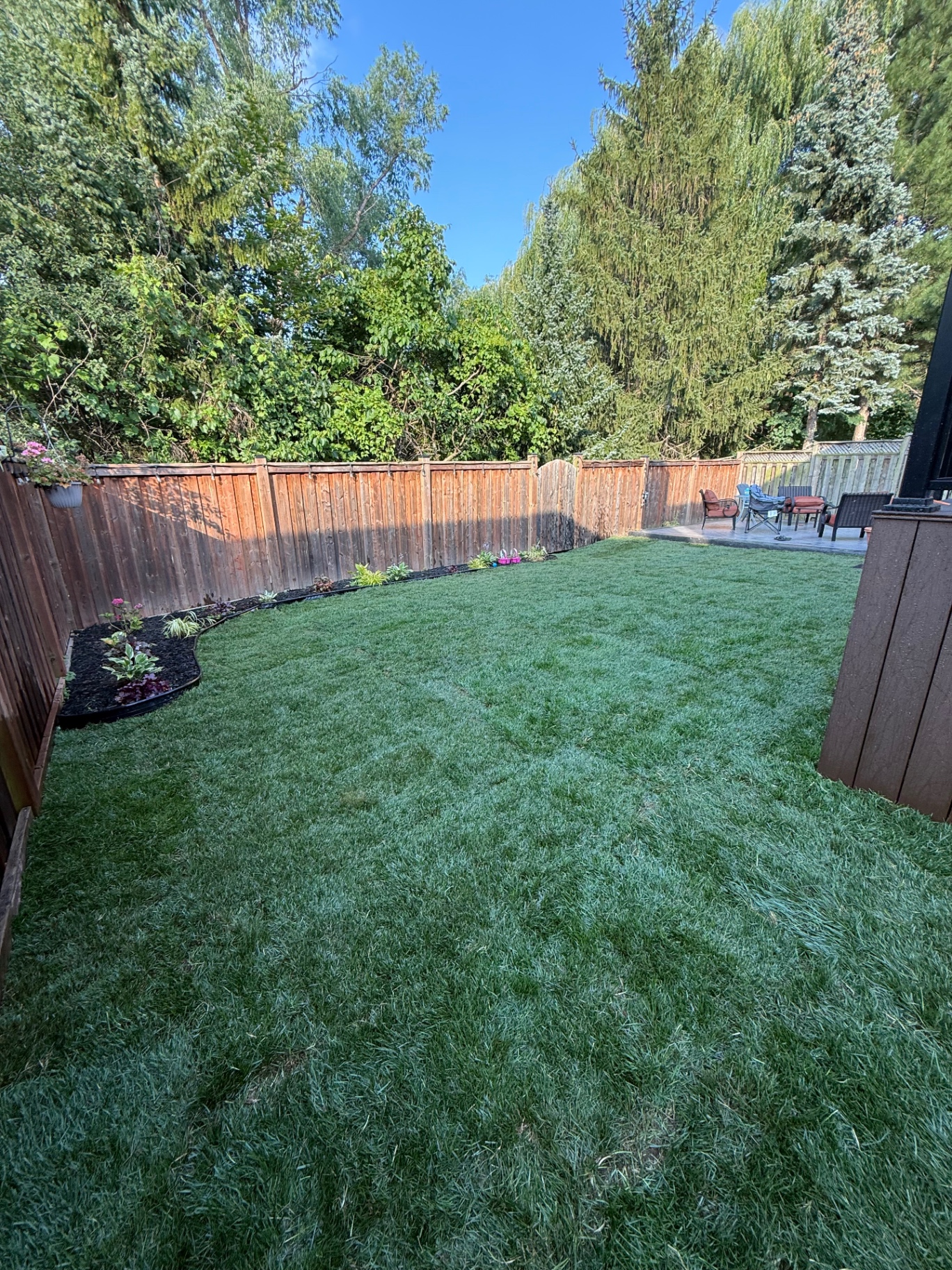 Sod Installation & Lawn Repair