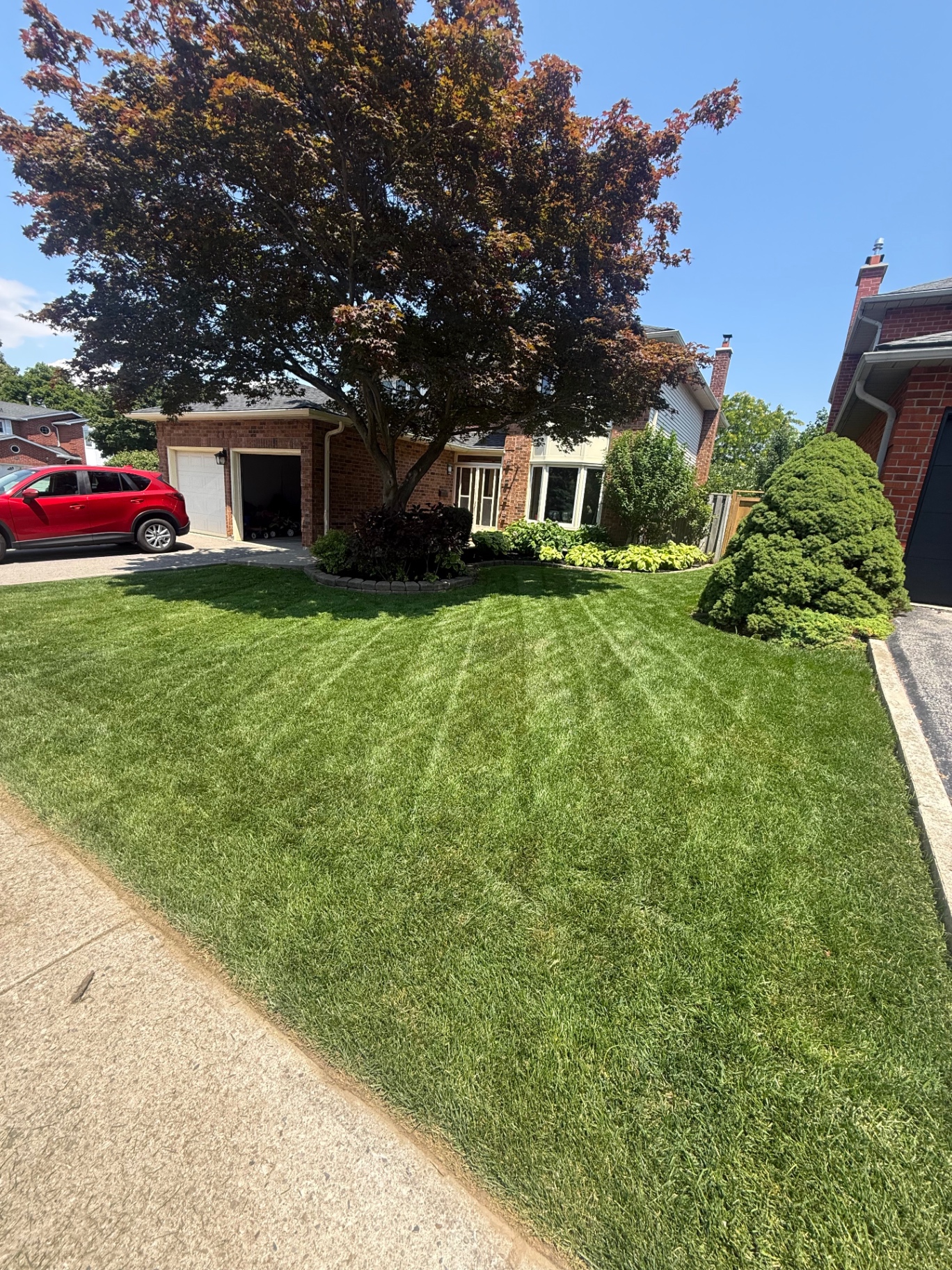 Freshly manicured backyard lawn in Burlington, Ontario