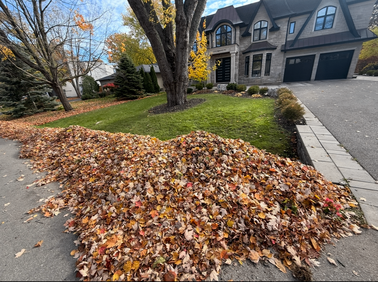 Leaf pile cleared from a front yard during fall cleanup